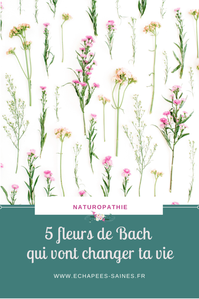 5 fleurs de Bach qui vont changer ta vie et t'aider à accompagner tes émotions
